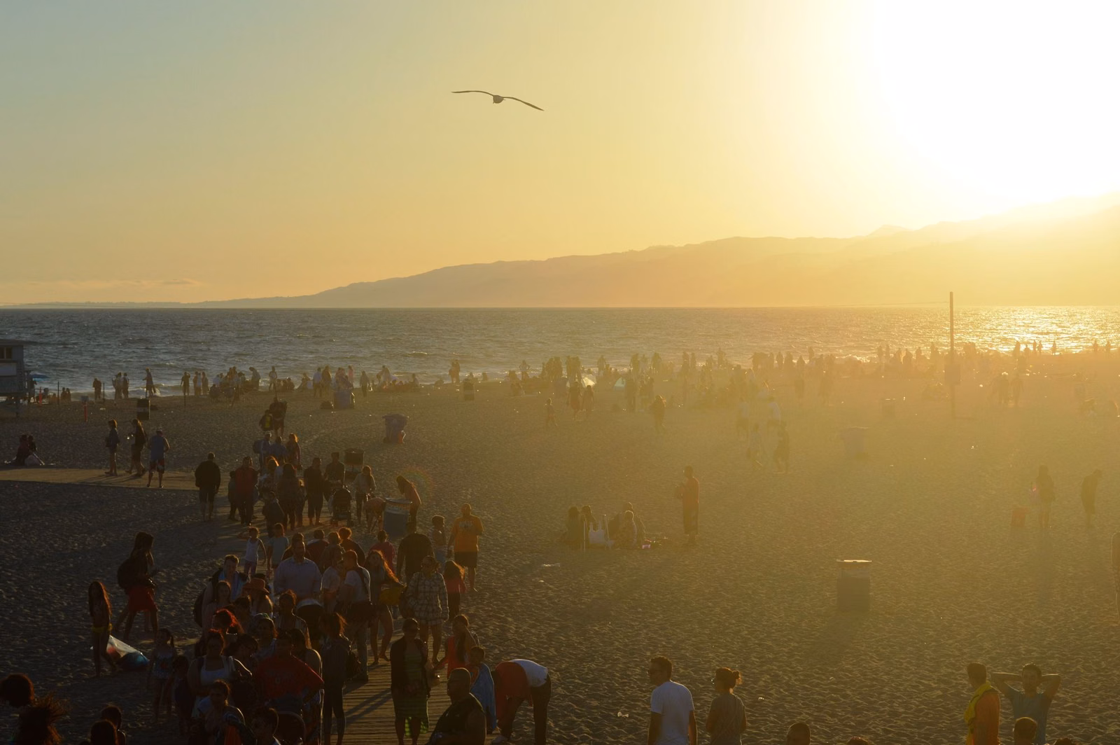 Crowds on Santa Monica State Beach in the late afternoon sun
