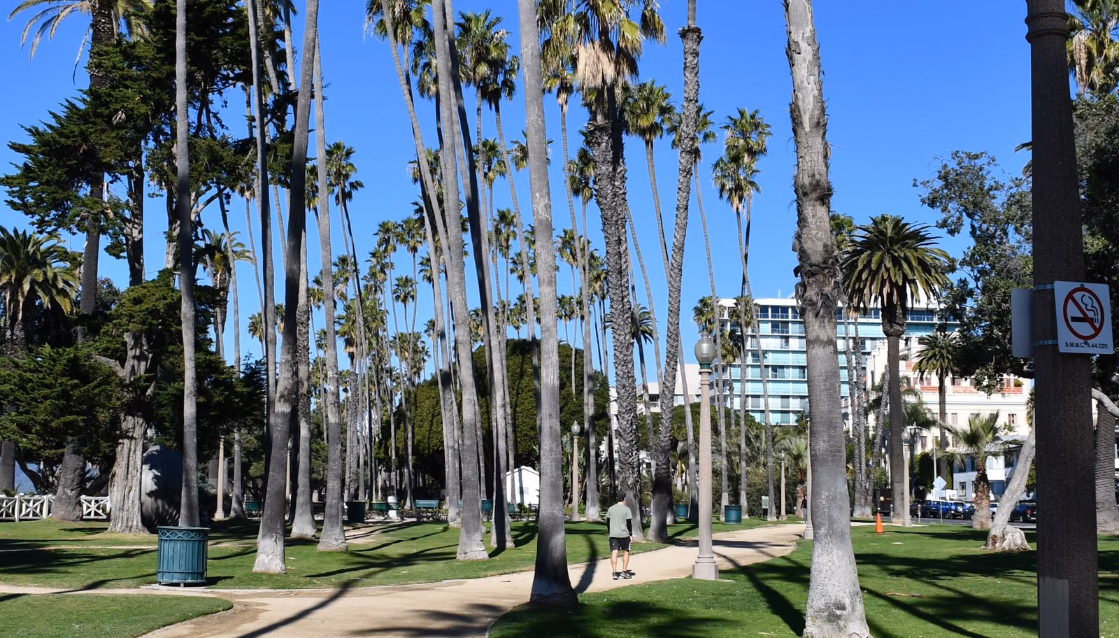 A palm-lined path and lawn in Palisades Park, Santa Monica